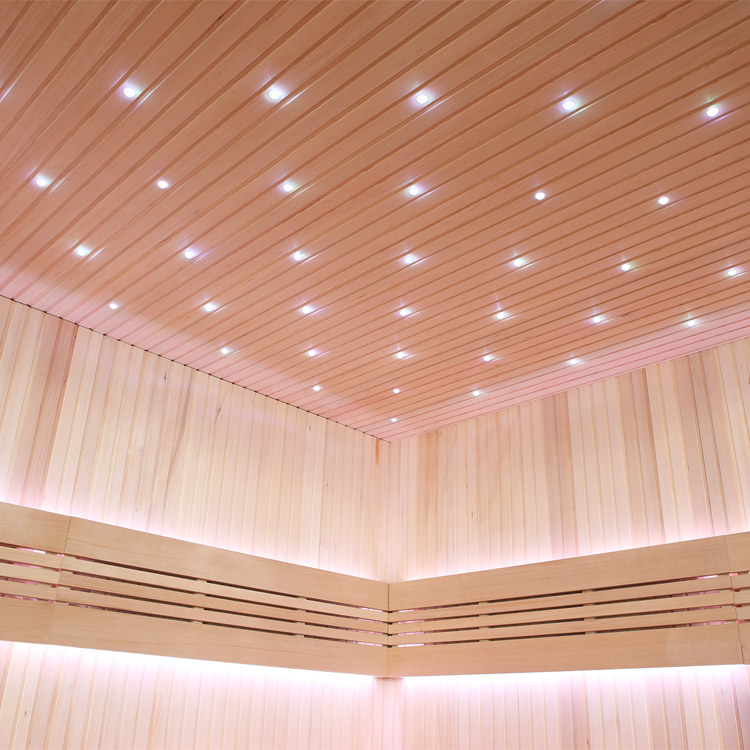 Finse Sauna | Hemlock | 250x250 | 9kW EOS BiO-Cubo | O6666 galerijafbeelding 17