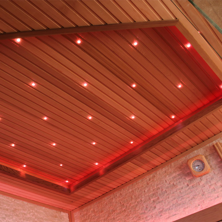 Finse Sauna | Red cedar | 180x180 | 9kW EOS Cubo | R6797P galerijafbeelding 6