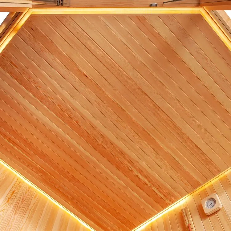 Finse Sauna | Dennen | 220x220 | 9kW Vega | R6351N3 galerijafbeelding 16