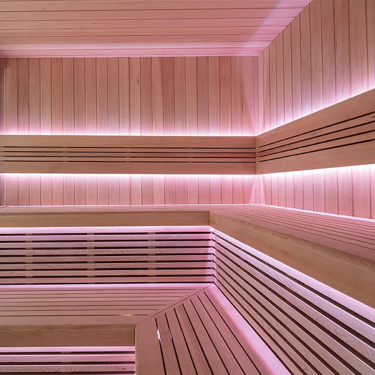 Finse Sauna | Hemlock | 235x235 | 9kW EOS Cubo | HAXABJA46 galerijafbeelding 19